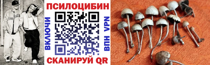 Псилоцибиновые грибы мухоморы  Белозерск 
